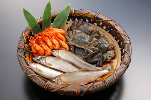 鮮度抜群の食材を最高の品質でご提供